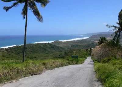 Barbados road