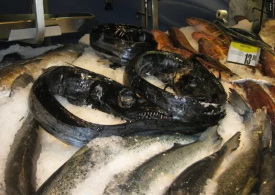 Fish market in Mercado dos Laradores, Fuchal, Madeira, Portugal. The black scabbardfish (Aphanopus cargo) is a bathypelagic fish of the family Trichiuridae found in the Atlantic Ocean