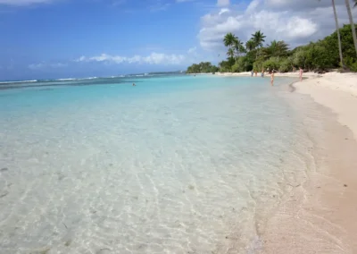 Guadeloupe beach