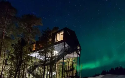 Live high up in the trees at Treehotel – surrounded by the spectacular nature in the north of Sweden!