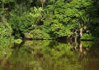 Tortuguero National Park, Costa Rica