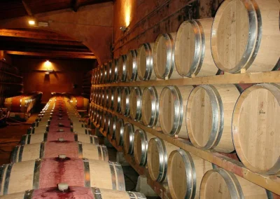 Wine barrels - Frescobaldi Tuscany