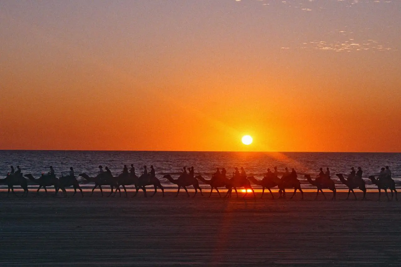 Camel caravan at sunset on Cable Beach, Broome.