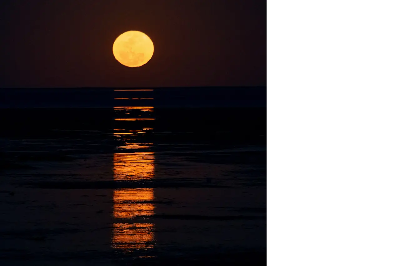 Broome. The Staircase to the Moon. The moonlight produces an optical illusion of steps leading to the moon.