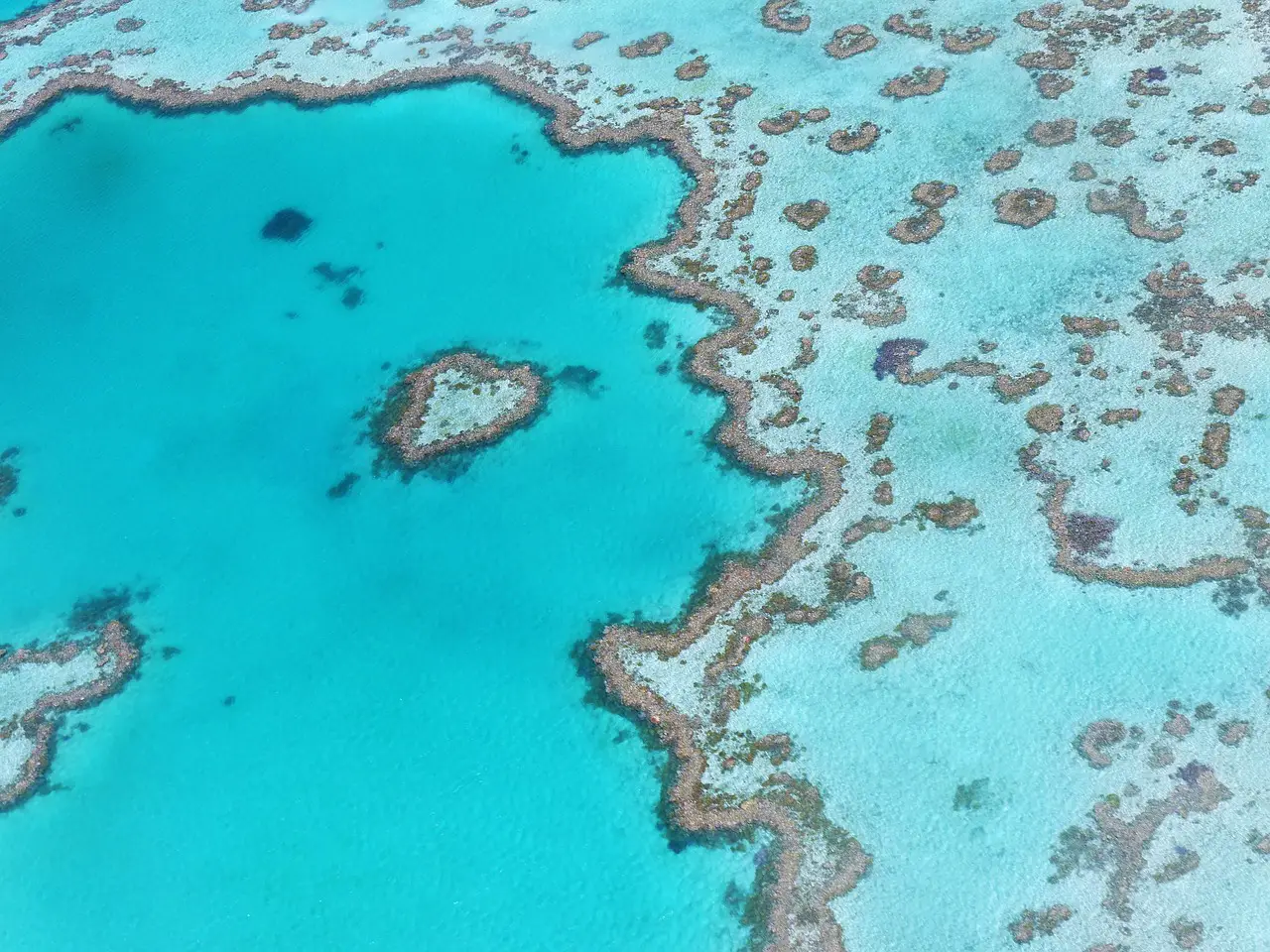 Great Barrier Reef Marine Park. One of the seven natural wonders of the world.