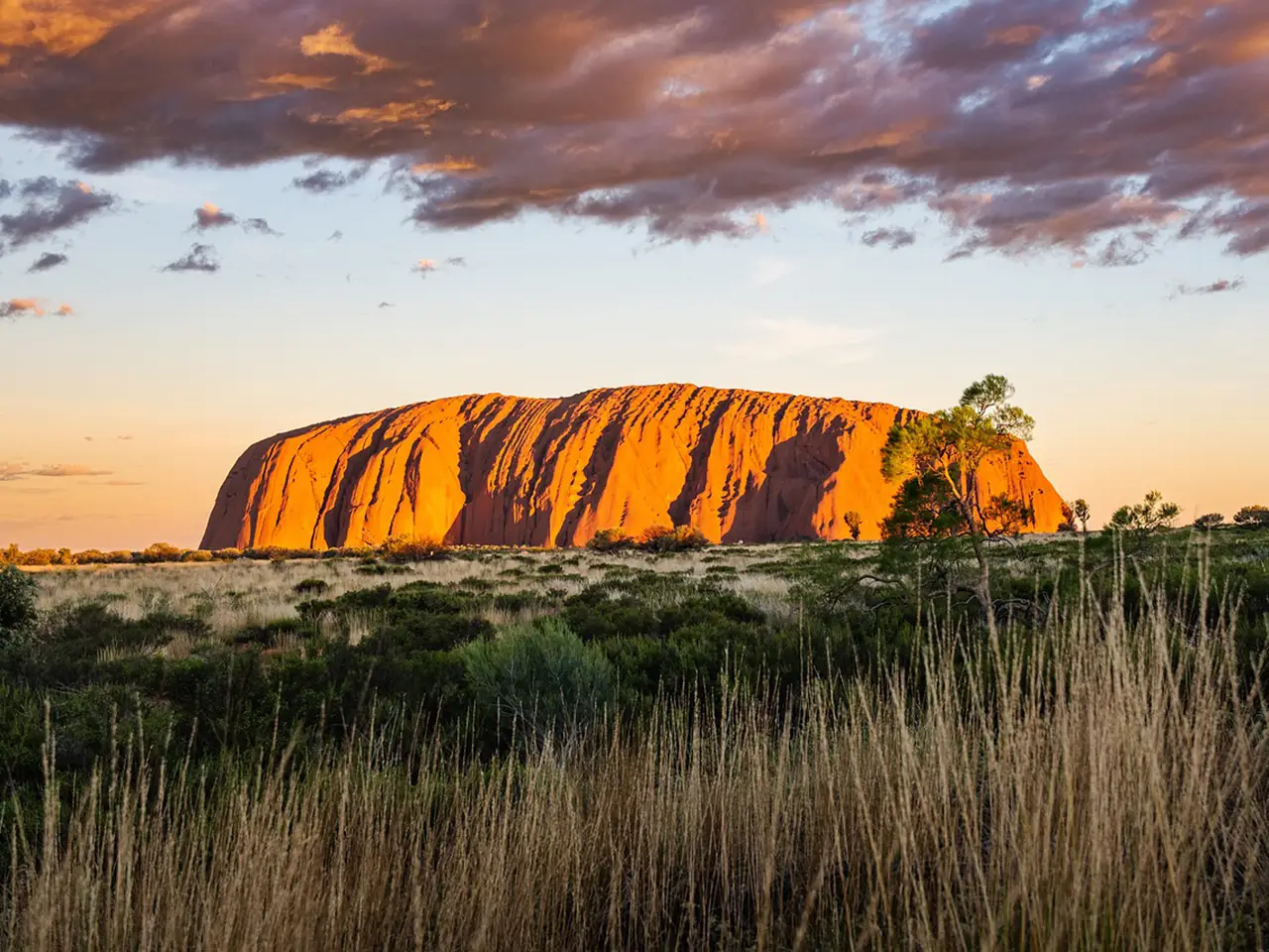 The spectacular red monolith serves as the focal point of Uluru-Kata Tjuta National Park